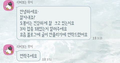 캣맘에게 고양이를 입양한 여시의 최후